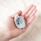 Celestine Geodes - Small