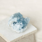 Celestine Geodes - Small