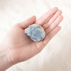 Celestine Geodes - Small