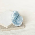 Celestine Geodes - Small