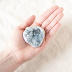 Celestine Geodes - Small