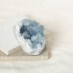 Celestine Geodes - Small