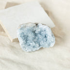 Celestine Geodes - Small