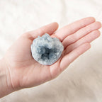 Celestine Geodes - Small