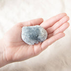Celestine Geodes - Small
