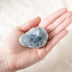 Celestine Geodes - Small