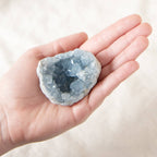 Celestine Geodes - Small