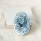 Celestine Geodes - Small