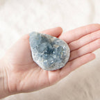 Celestine Geodes - Small