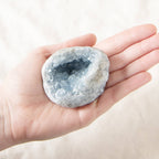 Celestine Geodes - Small
