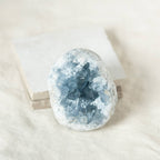 Celestine Geodes - Small