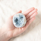 Celestine Geodes - Small