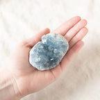 Celestine Geodes - Small