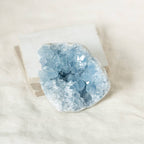 Celestine Geodes - Small