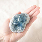 Celestine Geodes - Small