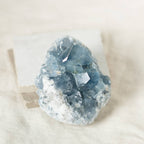 Celestine Geodes - Small