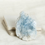 Celestine Geodes - Small