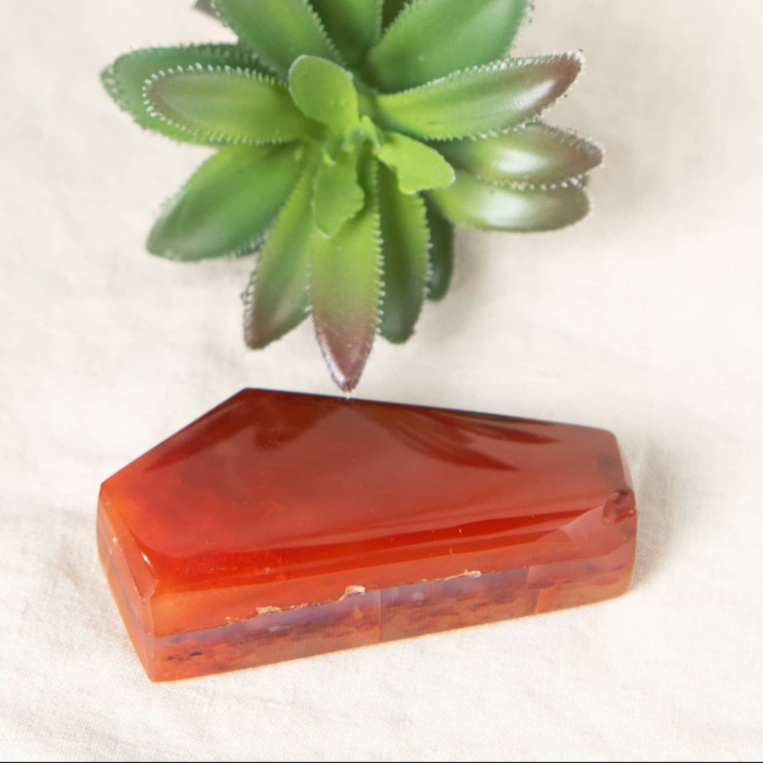Carnelian Freeform Polygon - 1 of a Kind