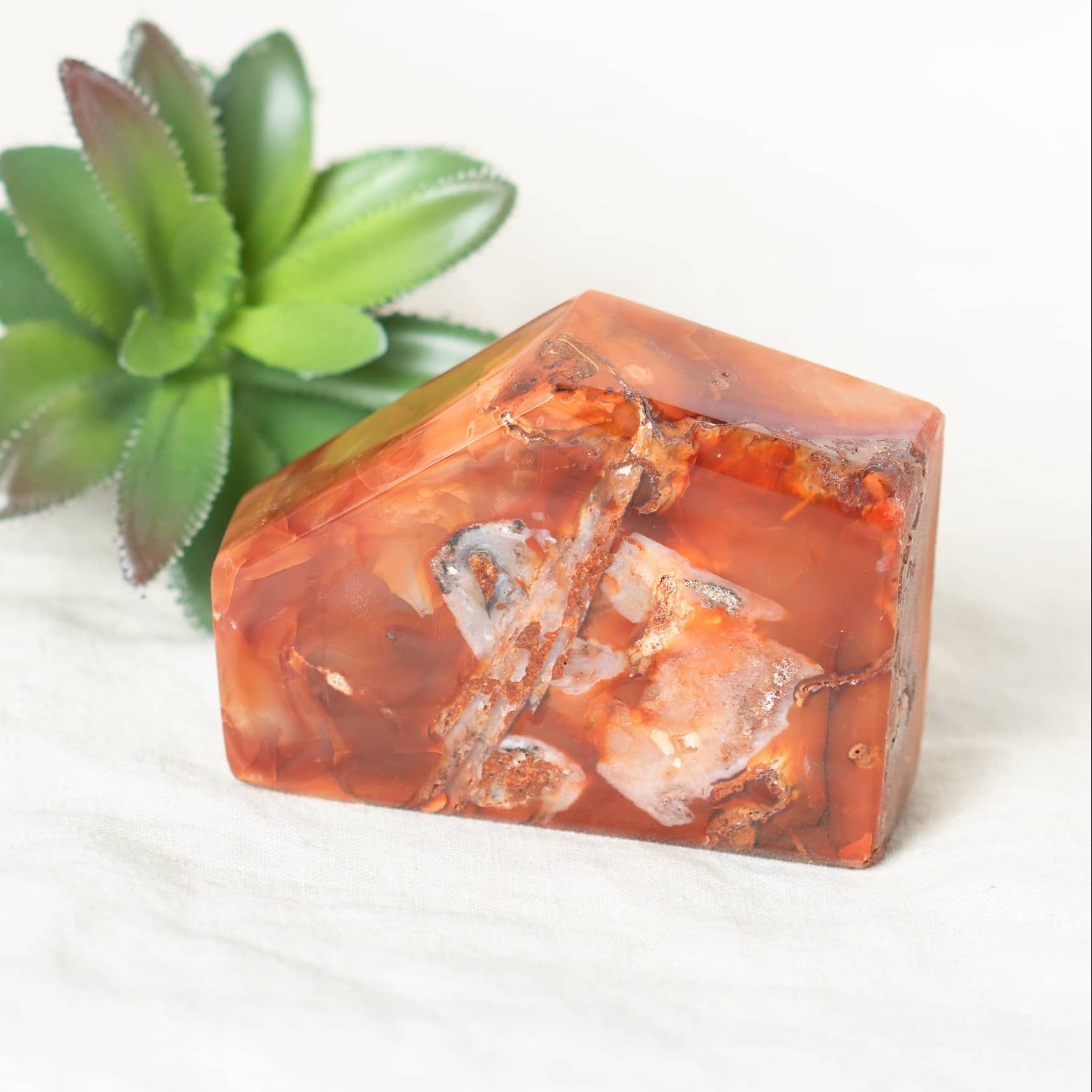 Carnelian Freeform Polygon - 1 of a Kind