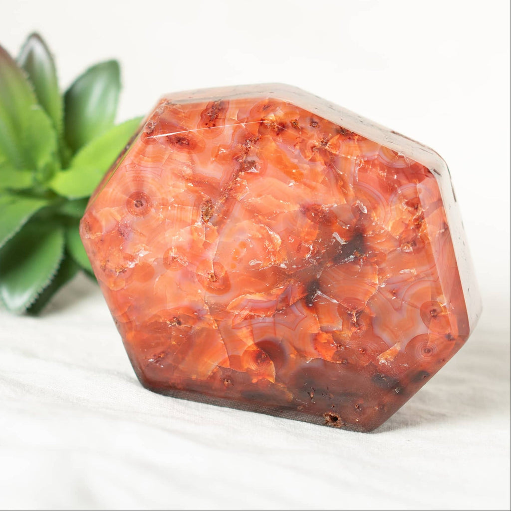 Carnelian Freeform Polygon - 1 of a Kind