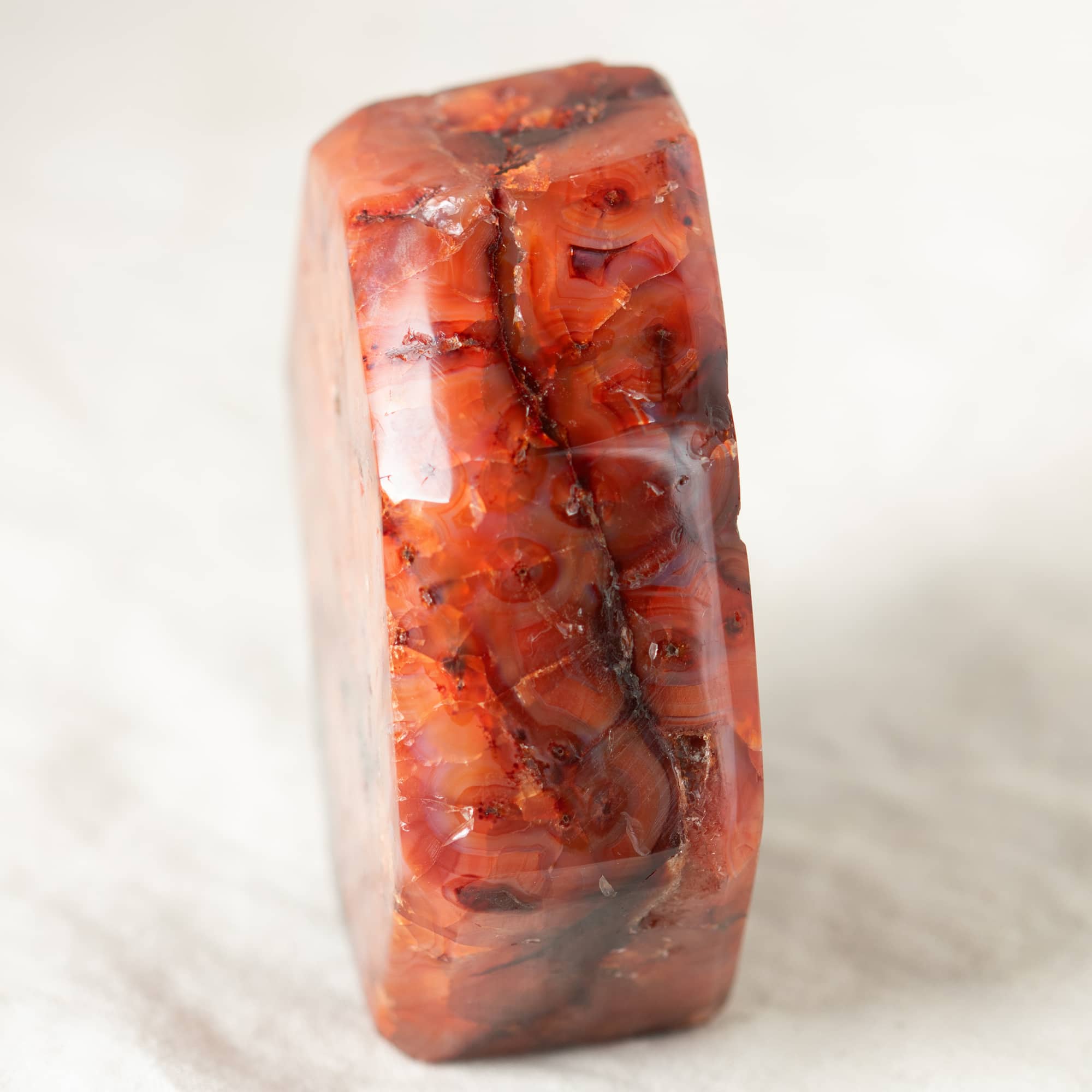 Carnelian Freeform Polygon - 1 of a Kind