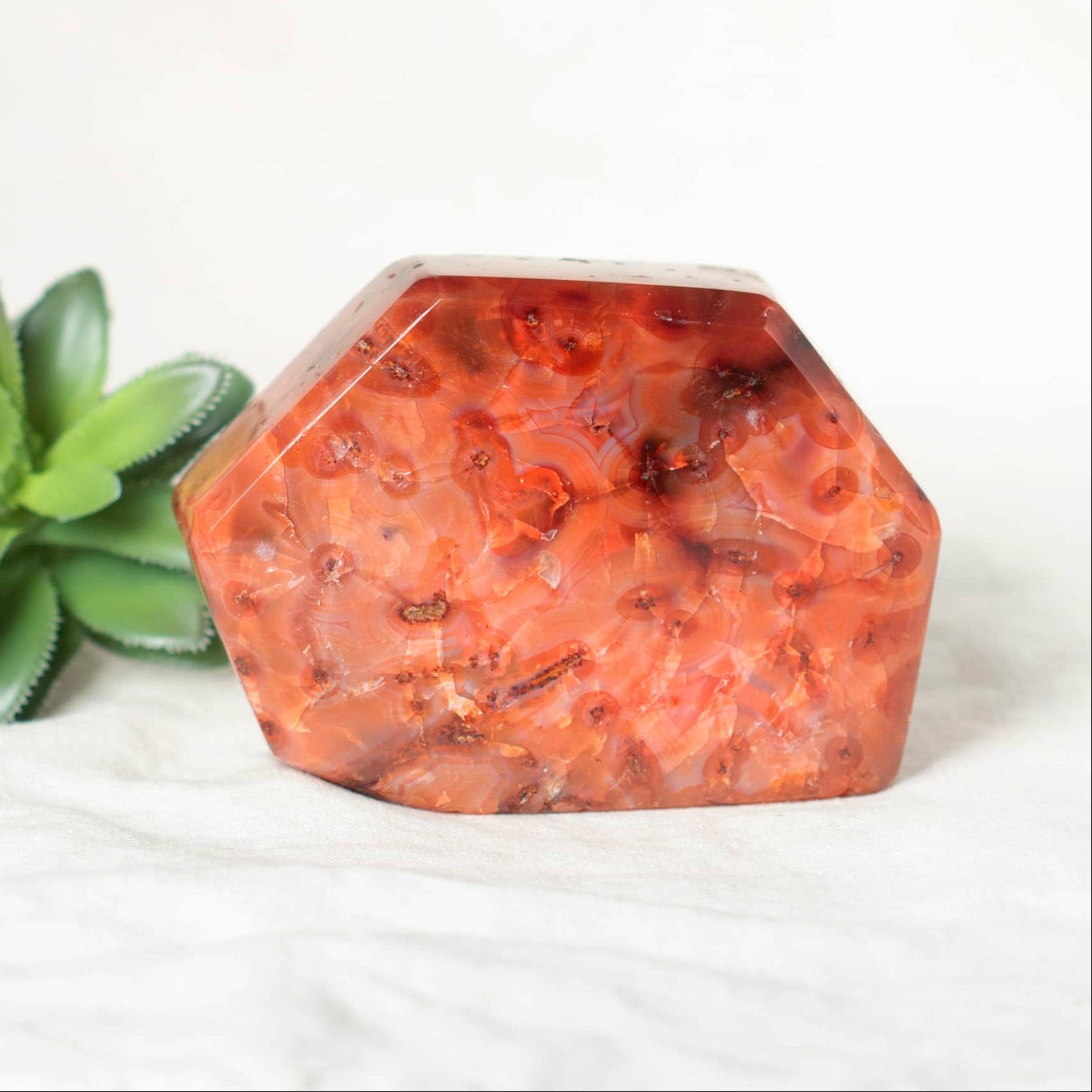 Carnelian Freeform Polygon - 1 of a Kind
