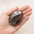 Black Opal Palm Stone - 1 of a Kind