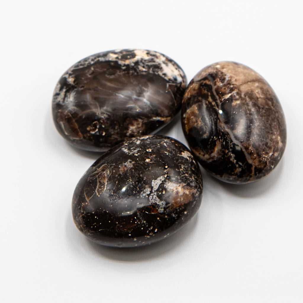 Black Opal Palm Stone - 1 of a Kind