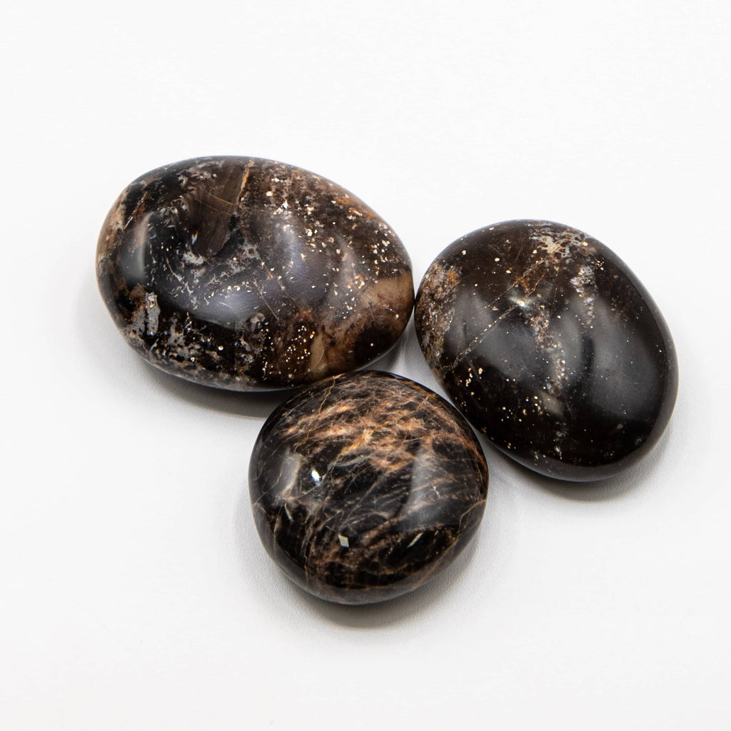 Black Opal Palm Stone - 1 of a Kind