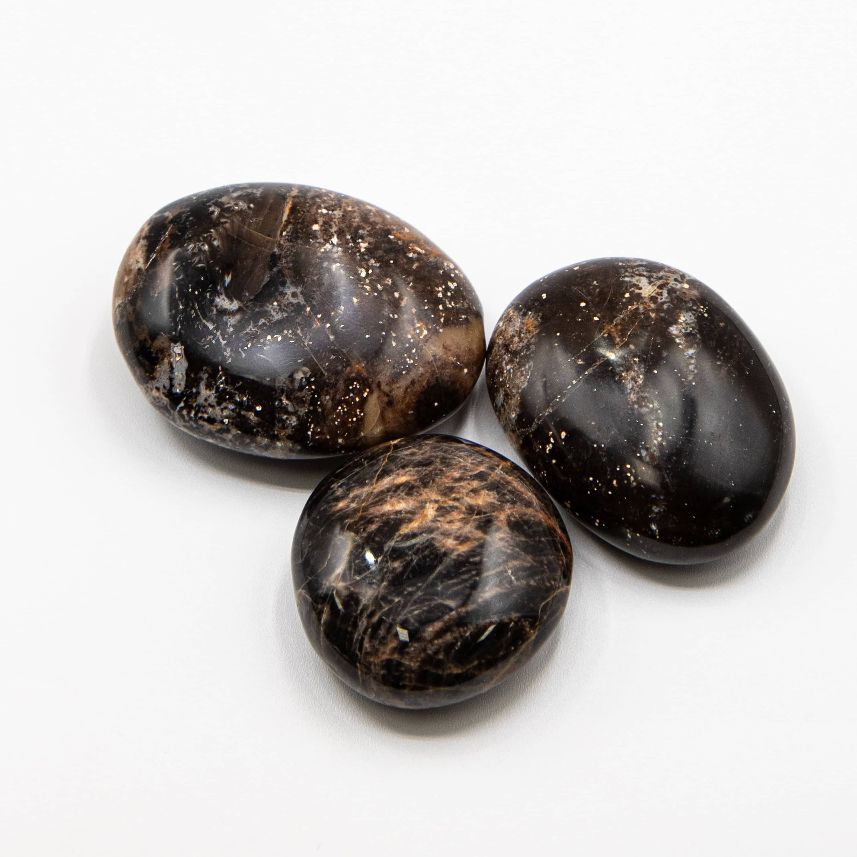 Black Opal Palm Stone - 1 of a Kind