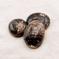 Black Opal Palm Stone - 1 of a Kind