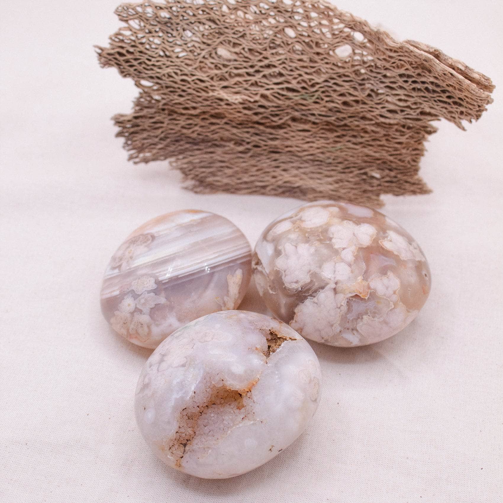 Flower Agate Palm Stone