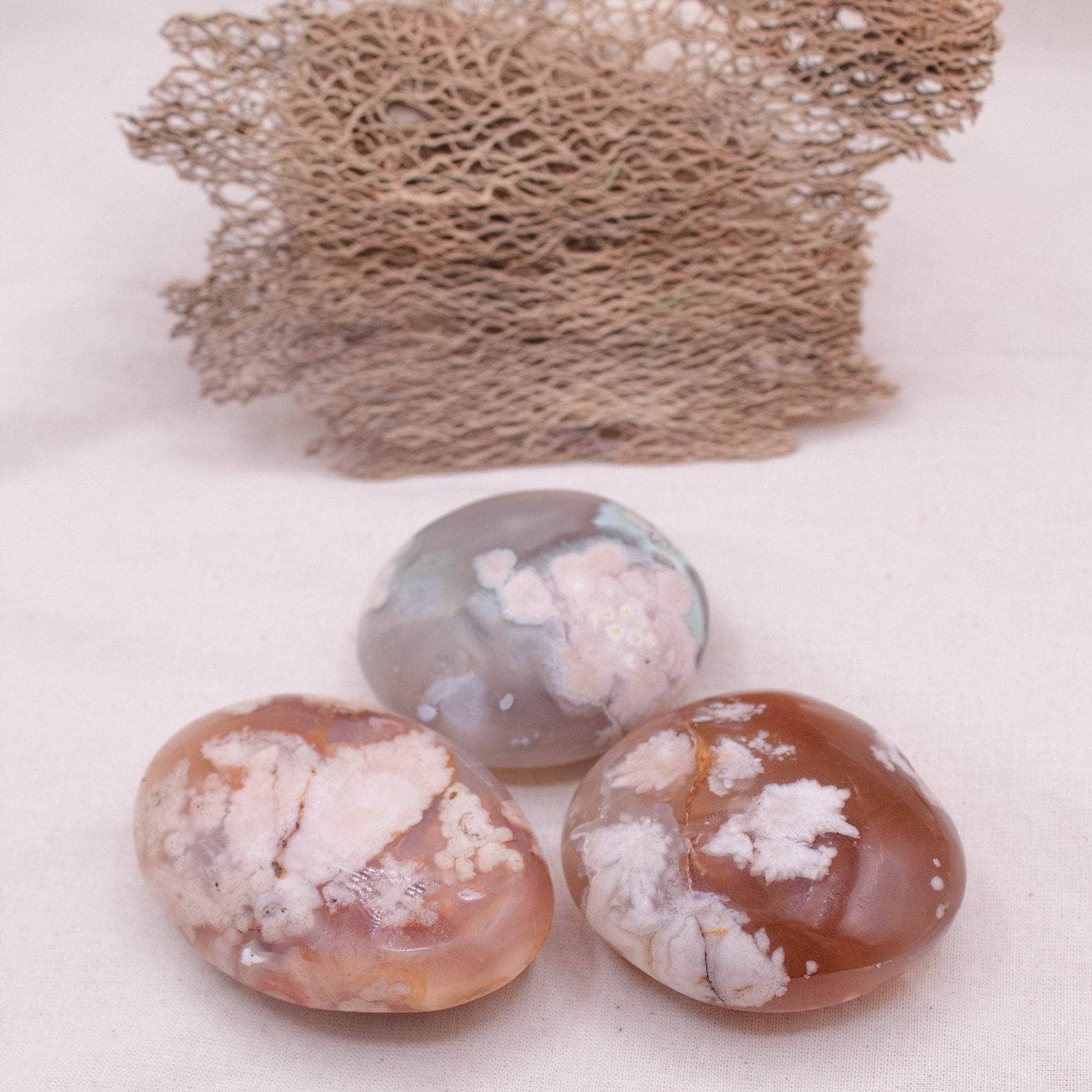 Flower Agate Palm Stone