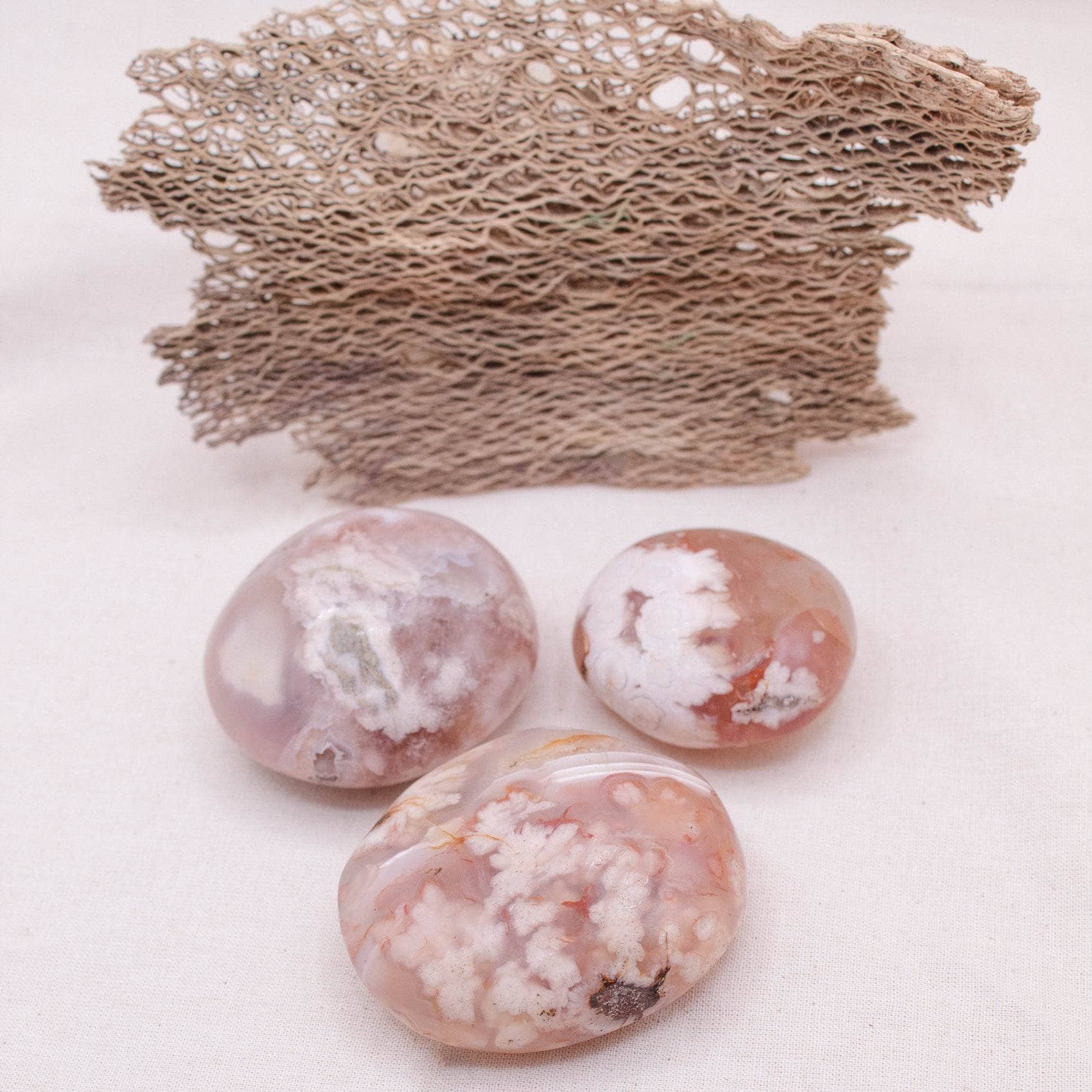 Flower Agate Palm Stone