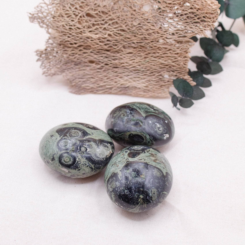 Kambaba Jasper Palm Stone