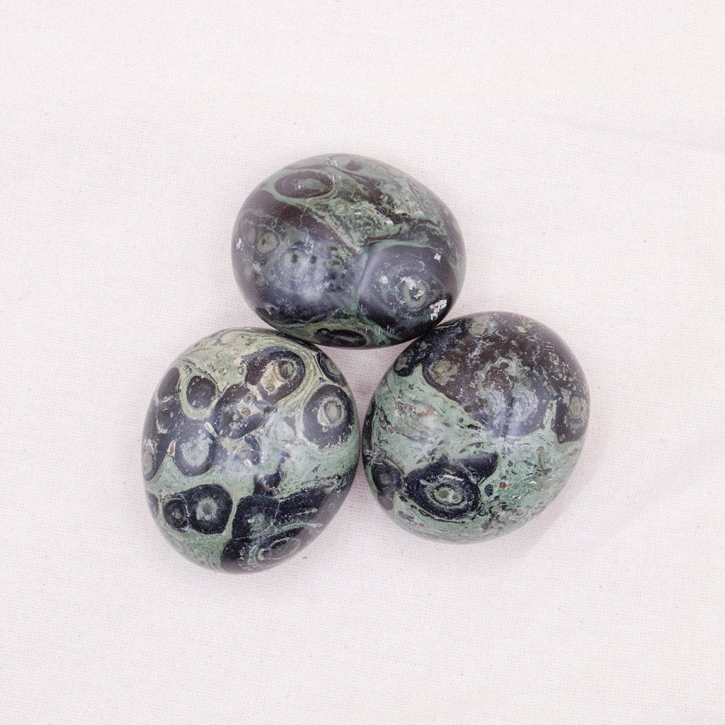 Kambaba Jasper Palm Stone