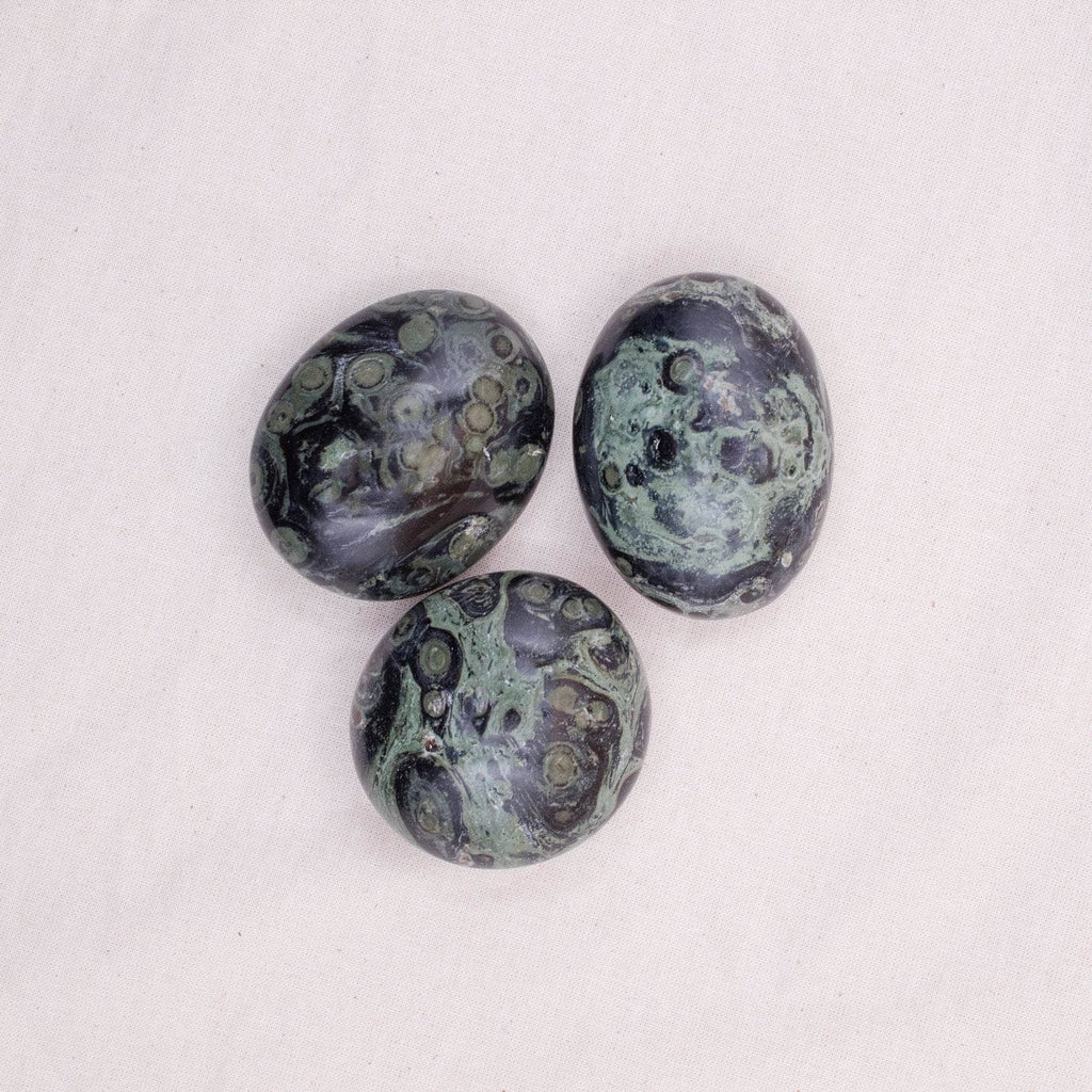 Kambaba Jasper Palm Stone