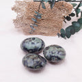 Kambaba Jasper Palm Stone