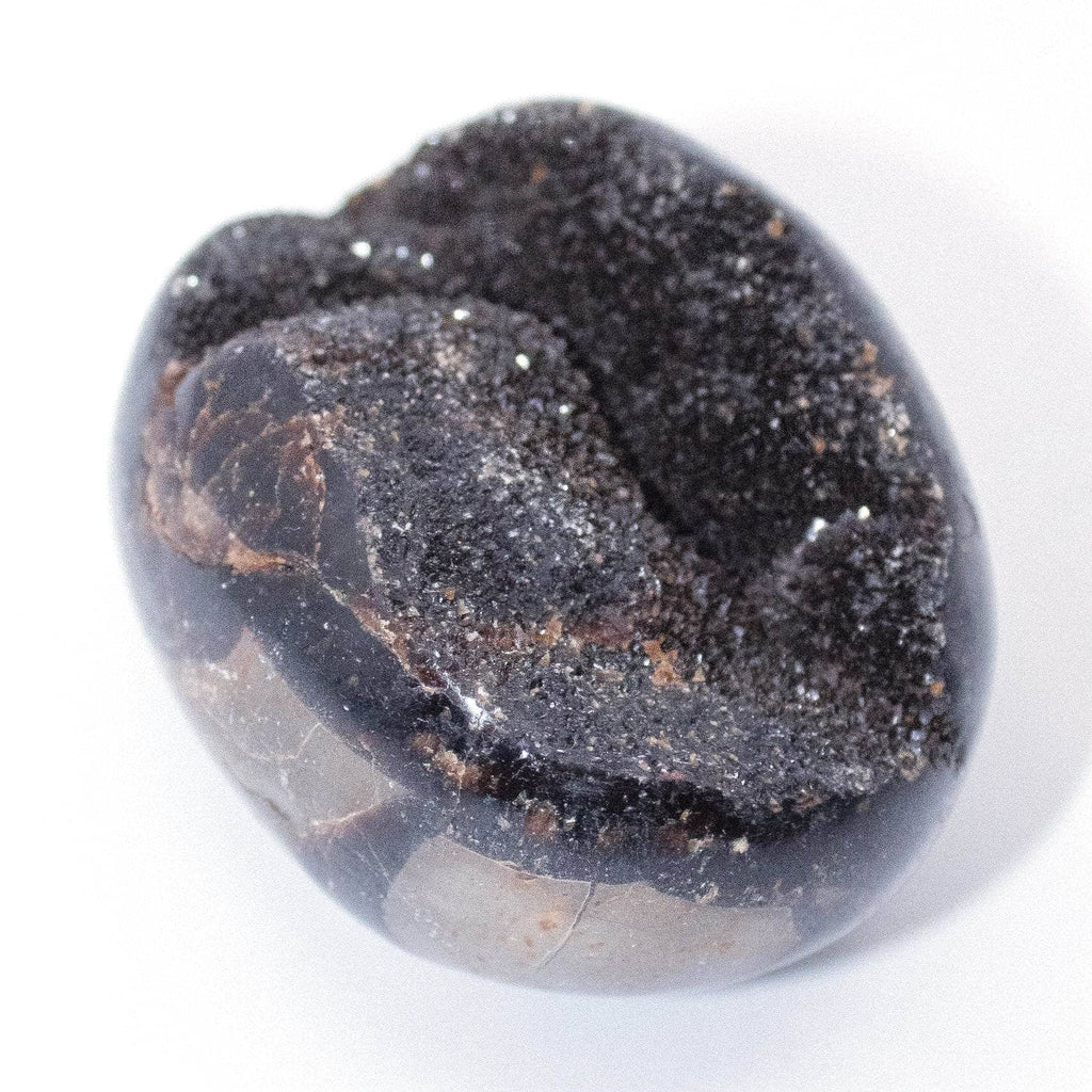 Rare Black Septarian Geode Protection Palm Stone - 1 of a Kind