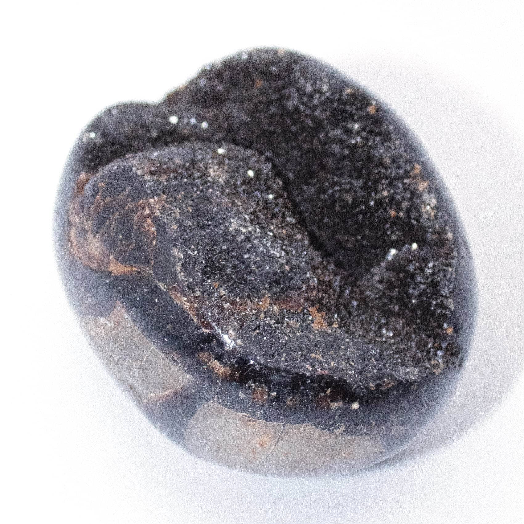 Rare Black Septarian Geode Protection Palm Stone - 1 of a Kind