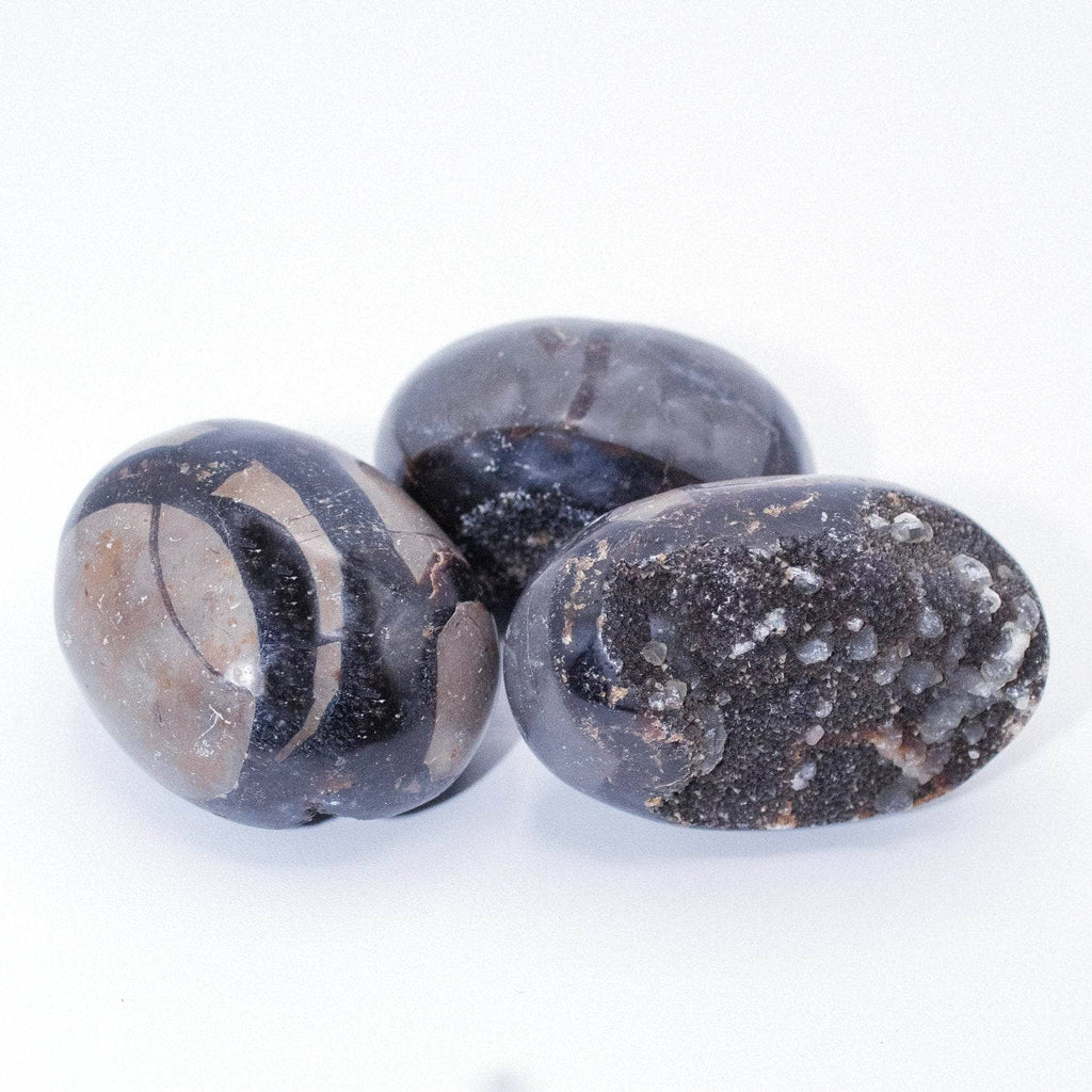 Rare Black Septarian Geode Protection Palm Stone - 1 of a Kind