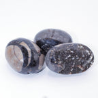 Rare Black Septarian Geode Protection Palm Stone - 1 of a Kind