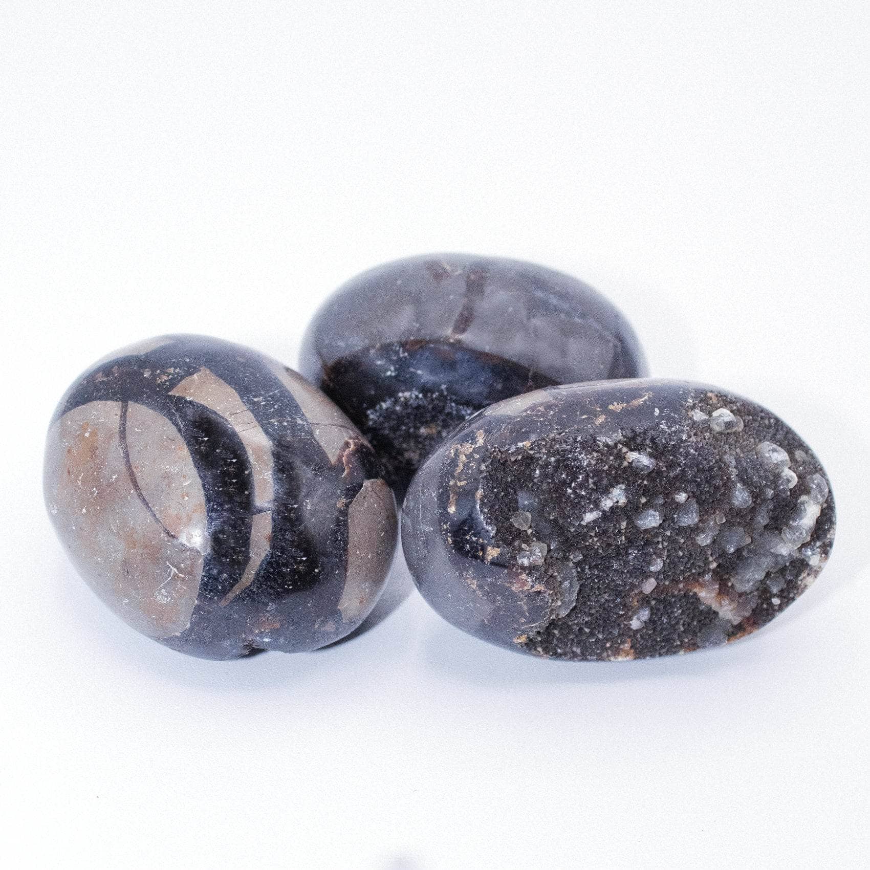 Rare Black Septarian Geode Protection Palm Stone - 1 of a Kind