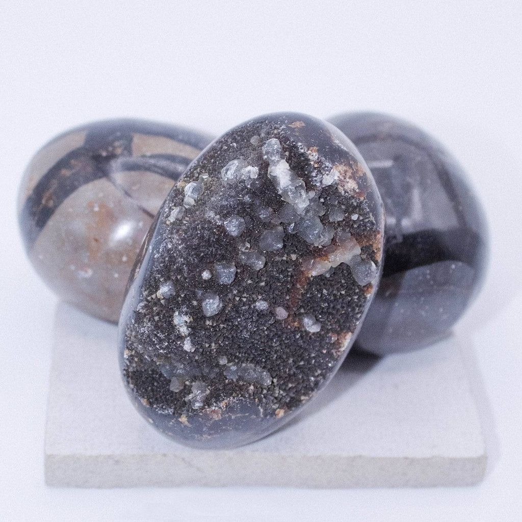 Rare Black Septarian Geode Protection Palm Stone - 1 of a Kind