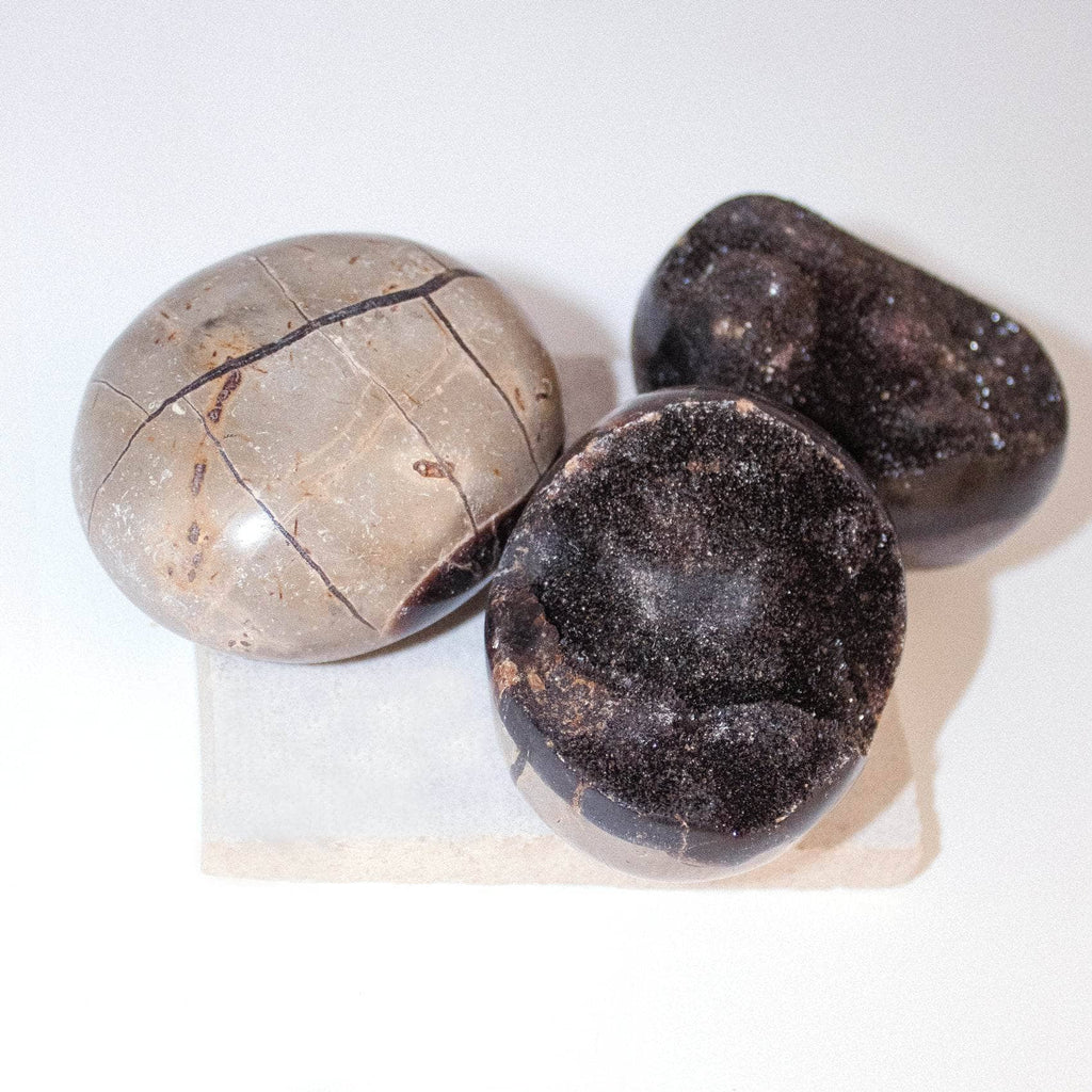 Rare Black Septarian Geode Protection Palm Stone - 1 of a Kind