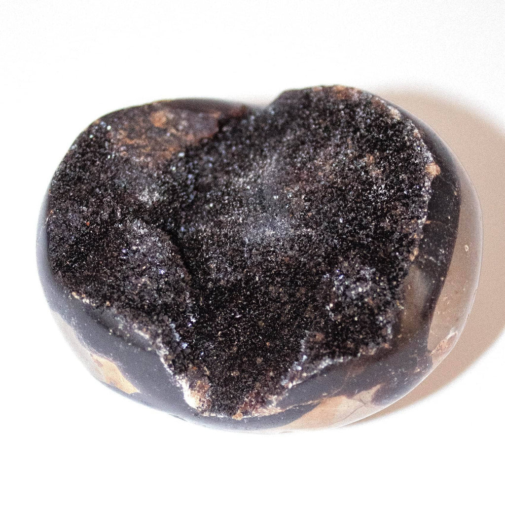 Rare Black Septarian Geode Protection Palm Stone - 1 of a Kind
