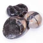 Rare Black Septarian Geode Protection Palm Stone - 1 of a Kind