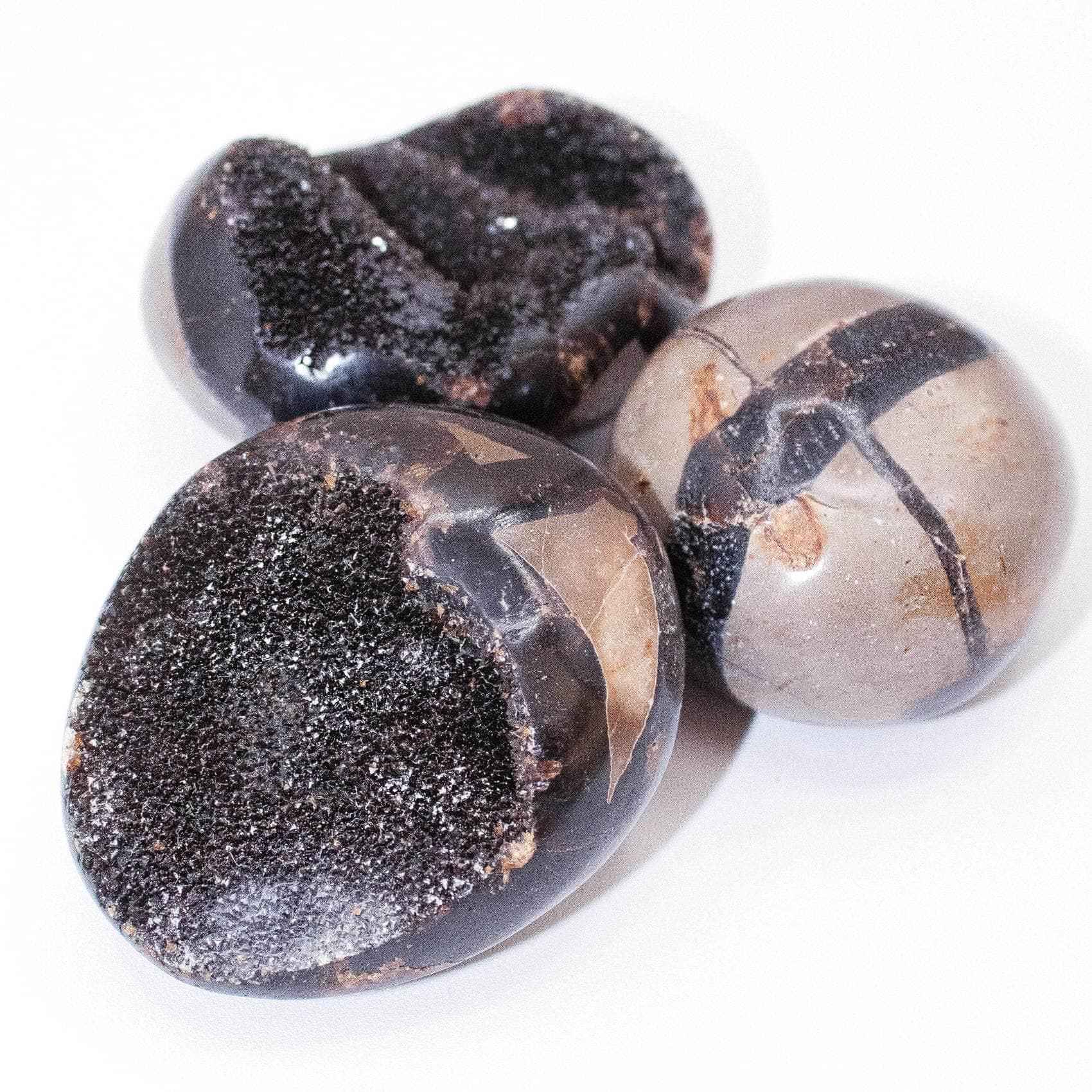 Rare Black Septarian Geode Protection Palm Stone - 1 of a Kind