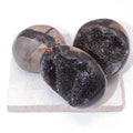 Rare Black Septarian Geode Protection Palm Stone - 1 of a Kind