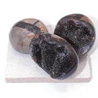 Rare Black Septarian Geode Protection Palm Stone - 1 of a Kind